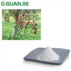 Phloretin pulver