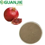 Ellagic Acid Pulver
