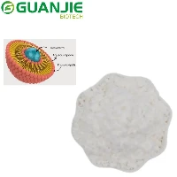 Liposomalt resveratrolpulver
